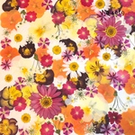 ♡new♡作家様必見♡押し花MIXセット♡押し花セット