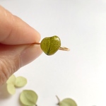 小さなハートの葉っぱ　リング　フリーサイズ　ロスフラワー使用　