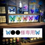 🦋ラテ様専用🦋