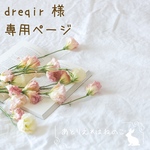 【dreqir様専用ページ】