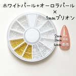 【送料無料】ネイルパーツ ブリオン×ホワイトパール ケース付き デコパーツ ネイルアート