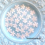  [押し花素材44] 芝桜　白