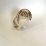 うさぎ 羊毛フェルト ロップイヤー ホーランドロップ ミニうさぎ ブロークンオレンジ うたっち