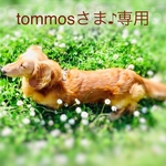 tommosさま♪専用