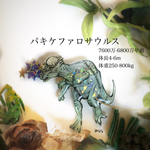 頭突きパキケファロサウルス のブローチ