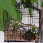 フェイク多肉植物とワイヤーラック♪