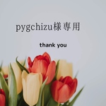 pygchizu様専用
