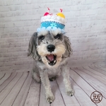 ~ラッキー様ご予約用~ 🎂誕生日ケーキ帽子🎂