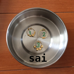 sai＊選べるイヤリング