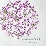 🌸ピンク染めシャク 30輪  ＊ 押し花
