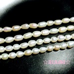 【淡水パール】ホワイト　ライス形　3×5mm 　10粒　ハンドメイド素材