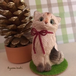 ちりめん猫ちゃん人形＊チンチラ