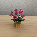 薔薇　4　　籠模様の鉢