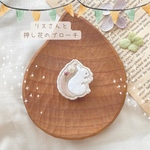 ‎𓊆 再販𓊇りすさんと押し花のブローチ