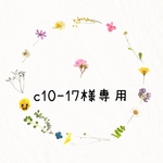 c10-17様専用