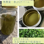 無農薬　春よもぎ　太白胡麻油　低温抽出濃厚バーム　30ml アルミ容器入り