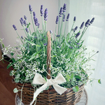 贈り物に🌷大きなラベンダーと白花のバスケット