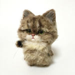 少し明るいブラウン系のチンチラ猫ちゃん☆ニャーニャーニャーシリーズ