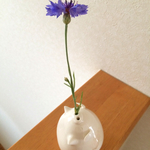 豚の2輪挿し