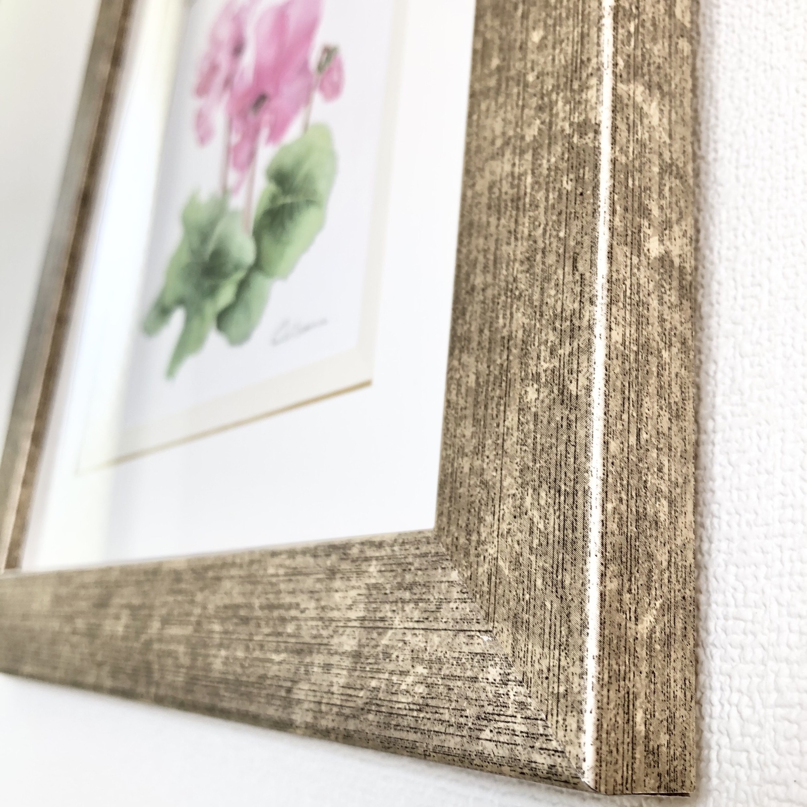 【絵画】ボタニカルアート　「シクラメン」原画 シクラメン」原画【ボタニカルアート/植物画/水彩画/ピンク系/草木花の