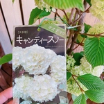 3さま専用ページ　ラッピング代