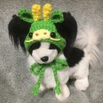 2024年辰年🐲タツの帽子❤️小型犬用帽子・チワワ用