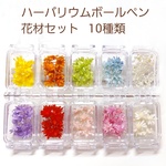 ハーバリウム ボールペン  スターフラワー スターフラワー ブロッサム & カスミソウ 10種類  花材セット