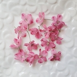 ☆ドライフラワー☆　デルフィニウム　ピンク　花材　素材　レジン