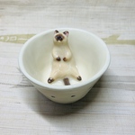 お風呂の中で座るシャムねっこぐい呑