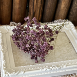 レア色❣️アンティーク調ヴァイオレットグレージュカスミ草ドライフラワー小分け❣️ハンドメイド花材