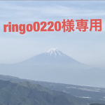 ringo0220様専用★リボンクマのマチ有りポーチ❤︎Ａ❤︎