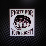 FIGHT FOR YOUR RIGHT　拳　カッティングステッカー