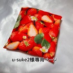 u-suke2様専用ページ