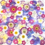 ♡new♡作家様必見♡押し花MIXセット♡押し花セット