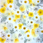 ♡new♡作家様必見♡押し花MIXセット♡押し花セット