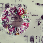 5049 春のシュシュ。