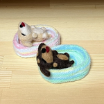 piyochan414様専用ページダックスへそてん追加