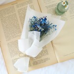 mini royal blue baby's breath かすみそう　インテリア　ドライフラワー