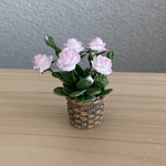 薔薇　10　　籠模様の鉢
