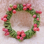 琉球からすうり　種　10粒