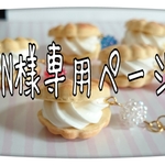 Ｎ様専用ページです！他の方のご購入はお控え下さい(>_<)