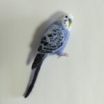 セキセイインコ ブローチ〈大〉水色×白 〈 羊毛フェルト〉