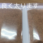 メダカ稚魚のエサ　20g