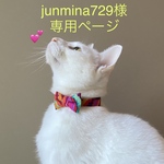 junmina729様専用ページ