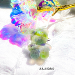 🉐価格【ice bare🧸🧊】キウイサワー／グリーン／パープル／花／ドライフラワー／キラキラホログラム／クマ／くま／マット加工／シルバー／スチールリング／フリーサイズ
