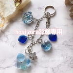 hosizora22様専用ページ