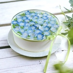 Gâteau au fromage sans cuisson Nemophila《ネモフィラのレアチーズケーキ》