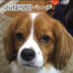 shi様オーダー キャバリアちゃん