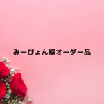 みーぴょん様オーダー品