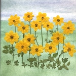 押し花＊ハッピーエンパイア 15